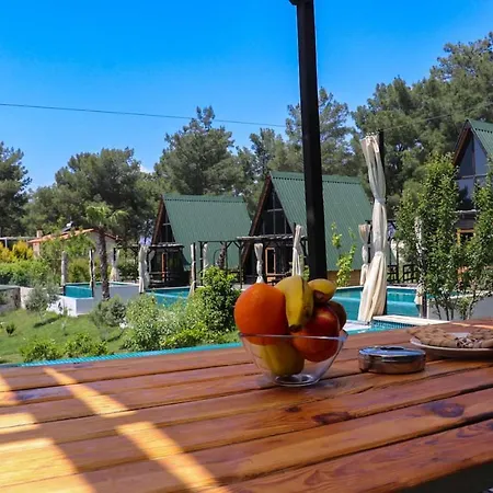Benimkoy Bungalov Pinara 3 Willa Palamut