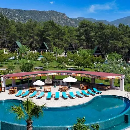 Benimkoy Bungalov Pinara 3 * Palamut