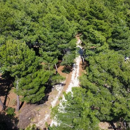 Benimkoy Bungalov Pinara 3 Willa