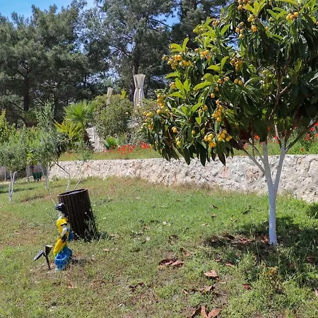 Willa Benimkoy Bungalov Pinara 3 Palamut