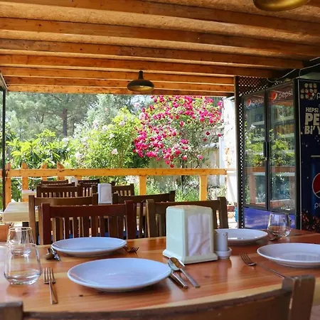 Benimkoy Bungalov Pinara 3 * Palamut